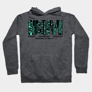 BIM Matrix Hoodie